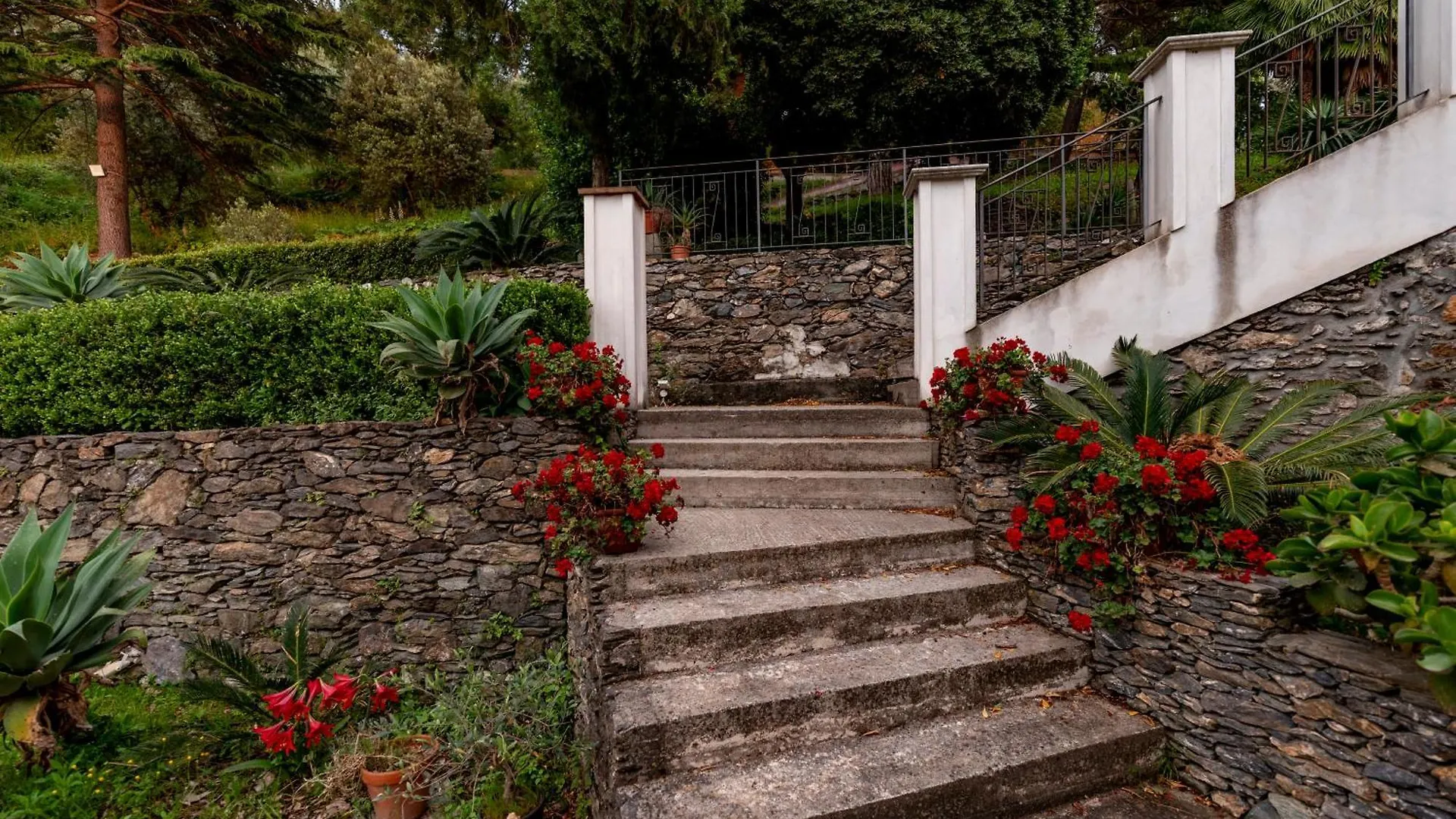 Villa Tecla Capri Leone 0*,